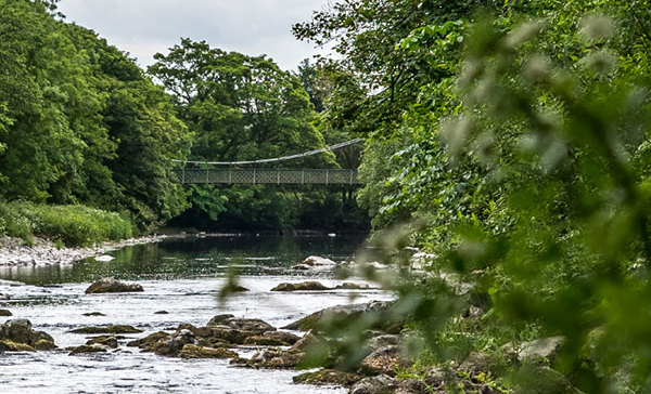 Calm river with woodlands surrounding the river bank.