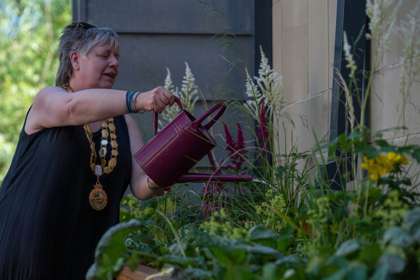 Lady watering plants with a watering can.