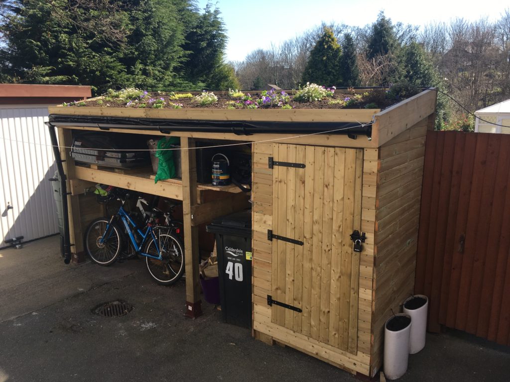 Green roof created on top of a wooden bike shed.