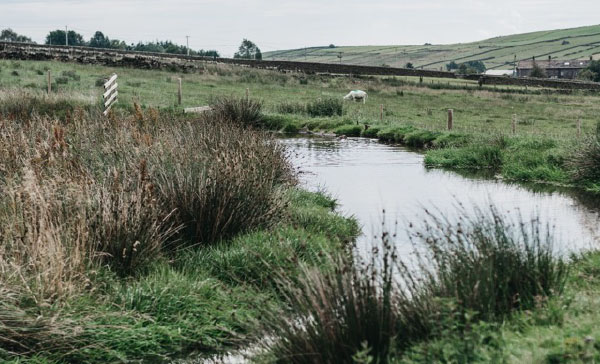 Attenuation pond filled with water in a farmers field.