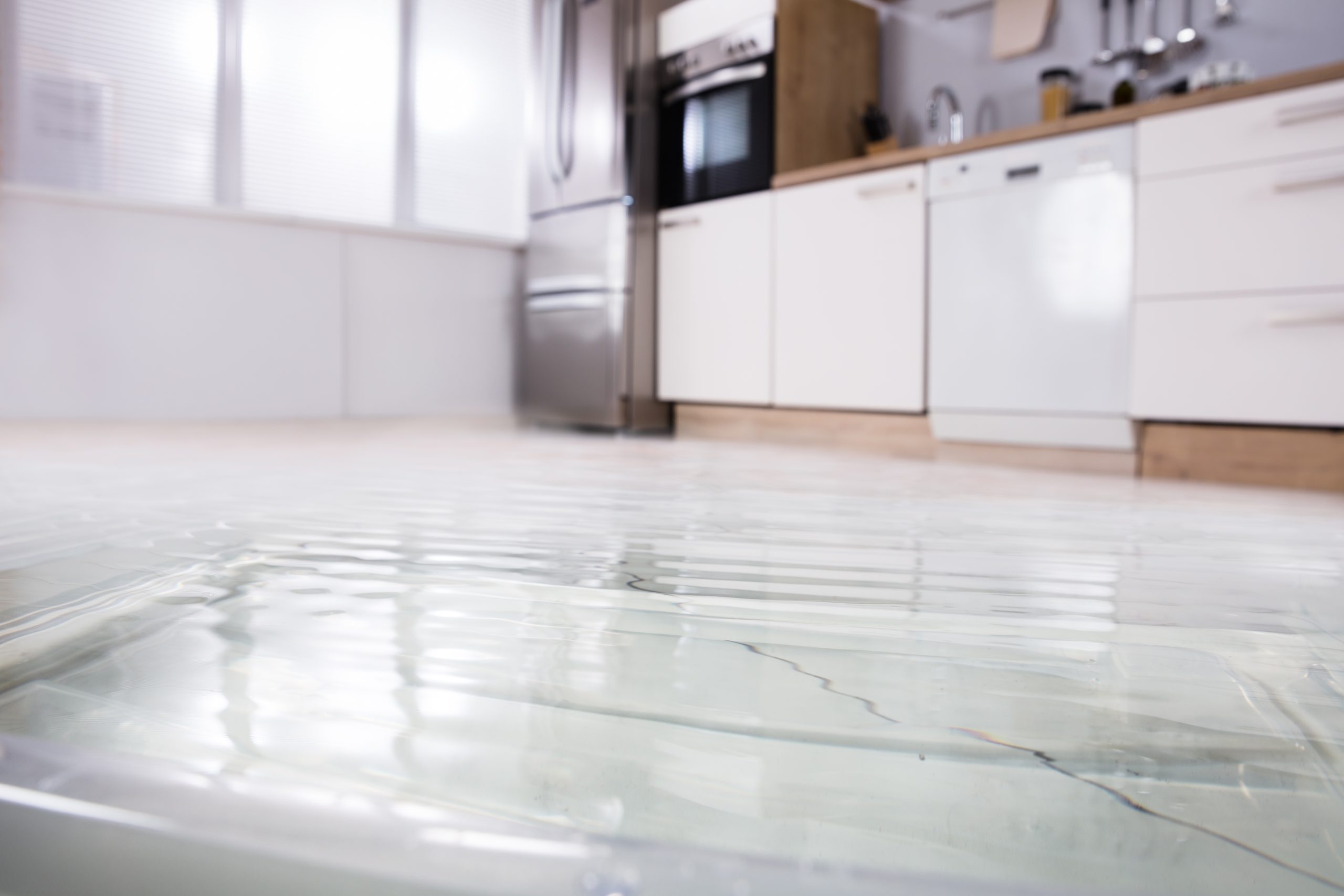 Flooded kitchen.