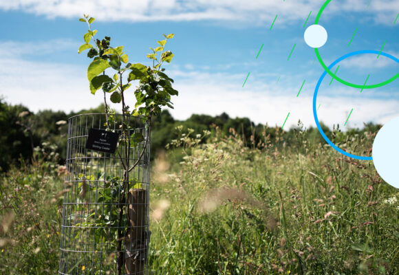 A year of progress to protect and restore Calderdale’s natural environment