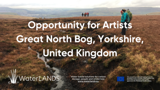 Opportunity for Artists. Great North Bog, Yorkshire United Kingdom. 