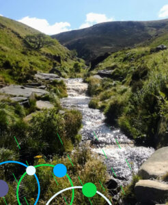 Calder catchment