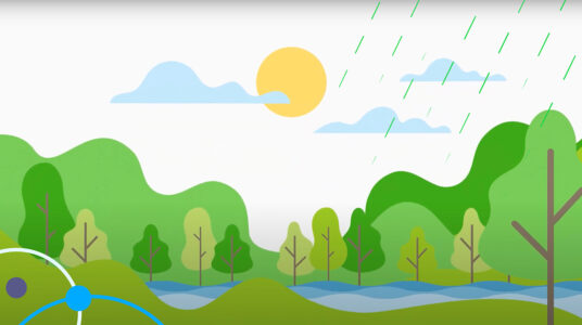 West Yorkshire Flip branding. A woodland scene with a river.