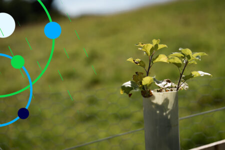 Tree planting