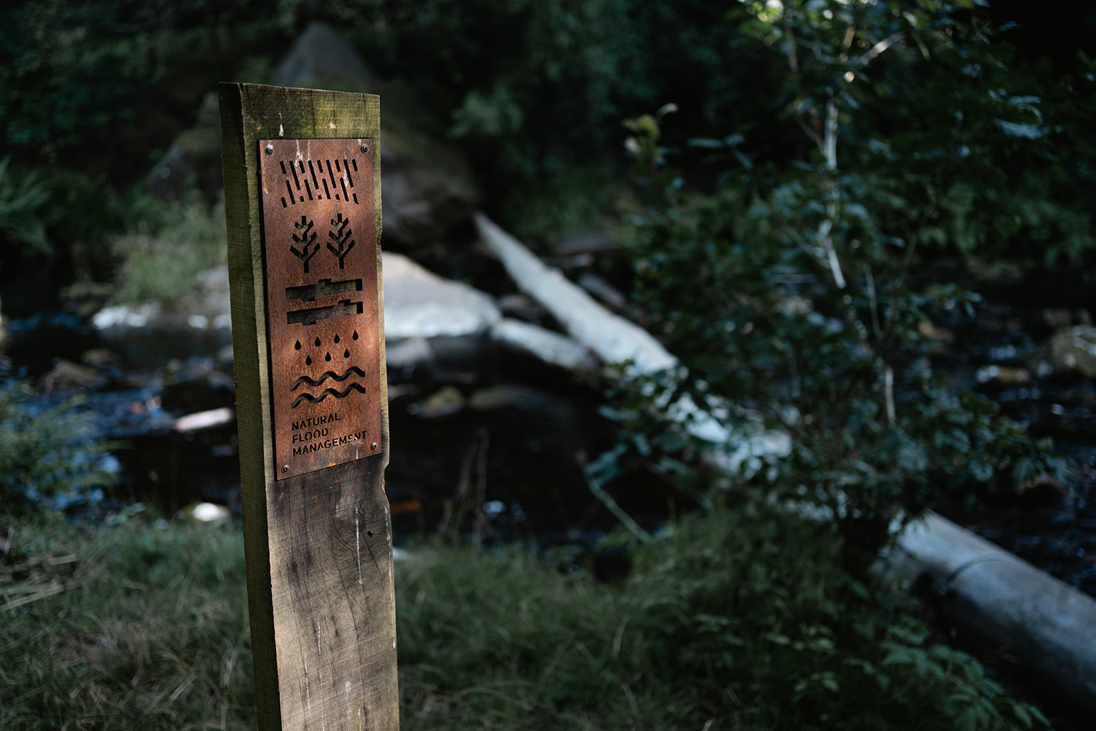 Natural flood management sign at Hardcastle Crags in Calderdale