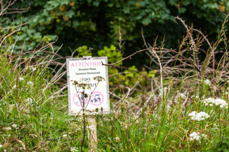 Invasive species warning sign