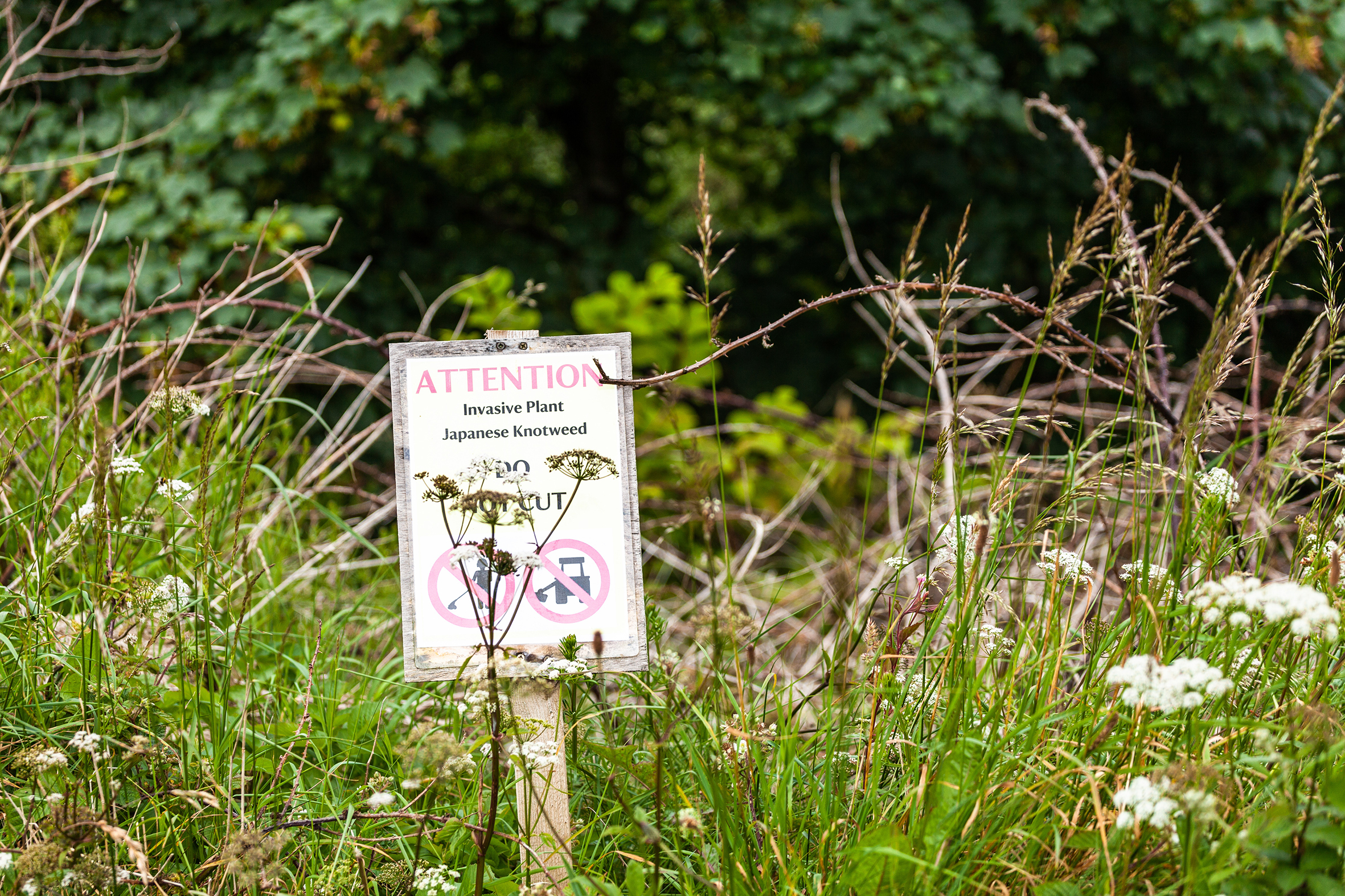 Invasive species warning sign
