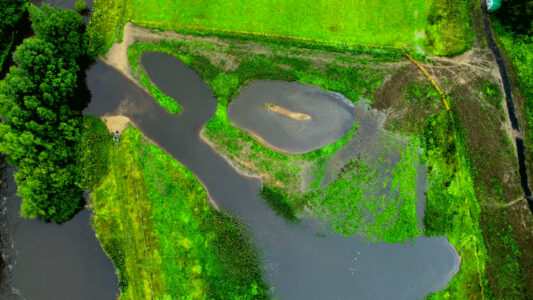 Flooded wetland