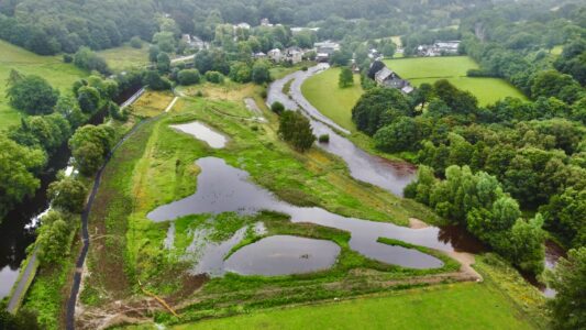 Flooded wetland
