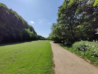 Wellholme Park. Paths and green field.