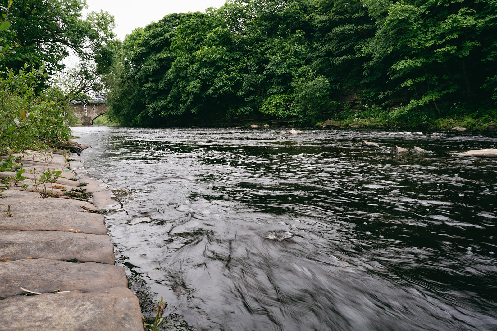 A low-angle, wide shot taken from just above the water's surface shows the river flowing toward an old stone arch bridge in Brighouse. The foreground is dominated by the dark, rippling water, which appears slightly blurred by movement, with patches of white foam floating on the surface. To the left, damp, dark rocks line the immediate bank. In the background, the heavy stone bridge spans the river, its central pier reinforced with a white metal structure. Dense, dark green trees hang over the water from the right bank, creating a tunnel-like effect that frames the bridge. The lighting is soft and diffused under a cloudy sky, giving the scene a quiet, secluded feel despite its industrial undertones.