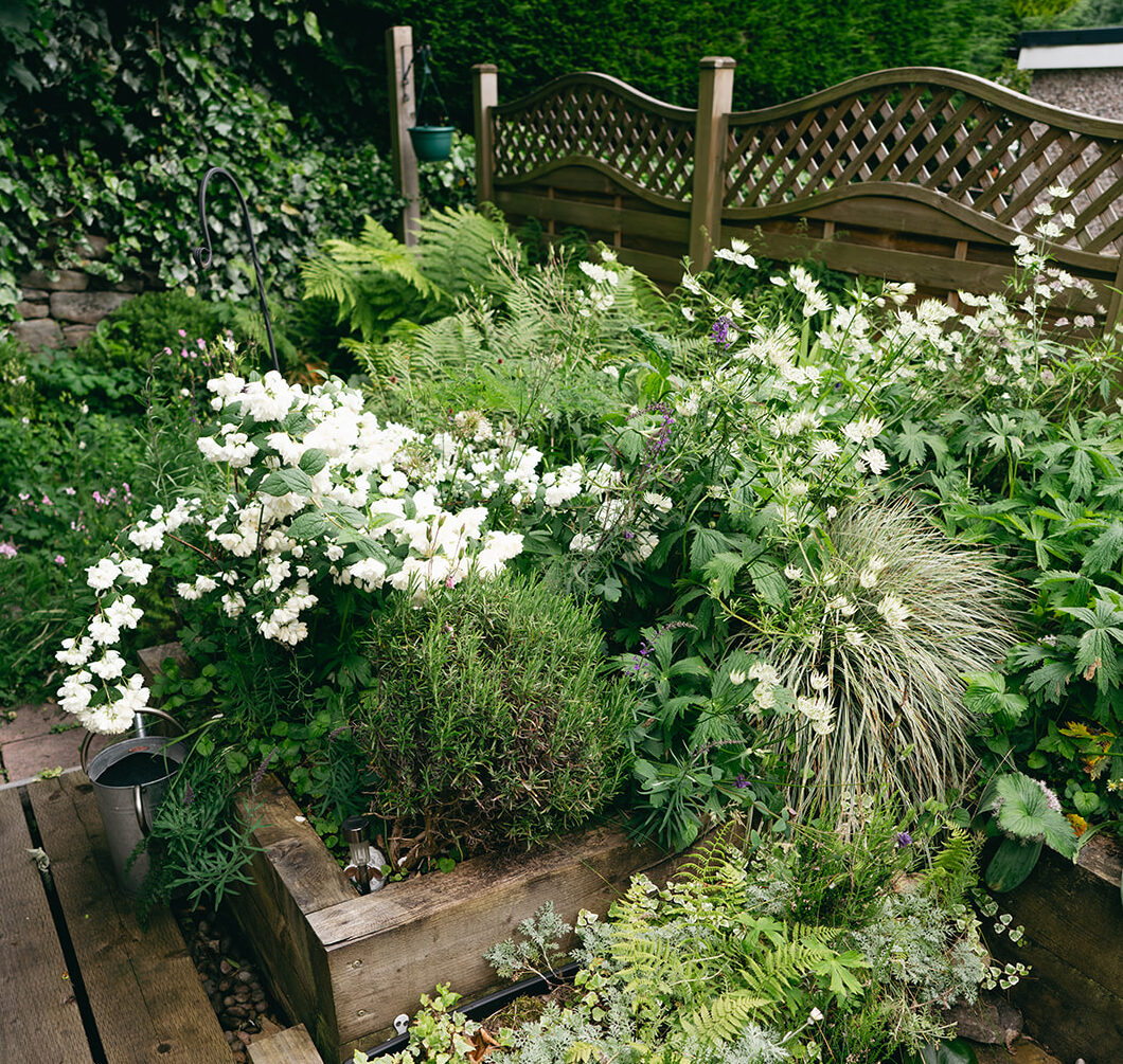 A residential rain garden designed for bioretention and infiltration. The planting area is positioned at a low point to collect and filter surface water runoff. A timber boardwalk provides pedestrian access over the SuDS feature without compacting the soil, preserving its permeability.