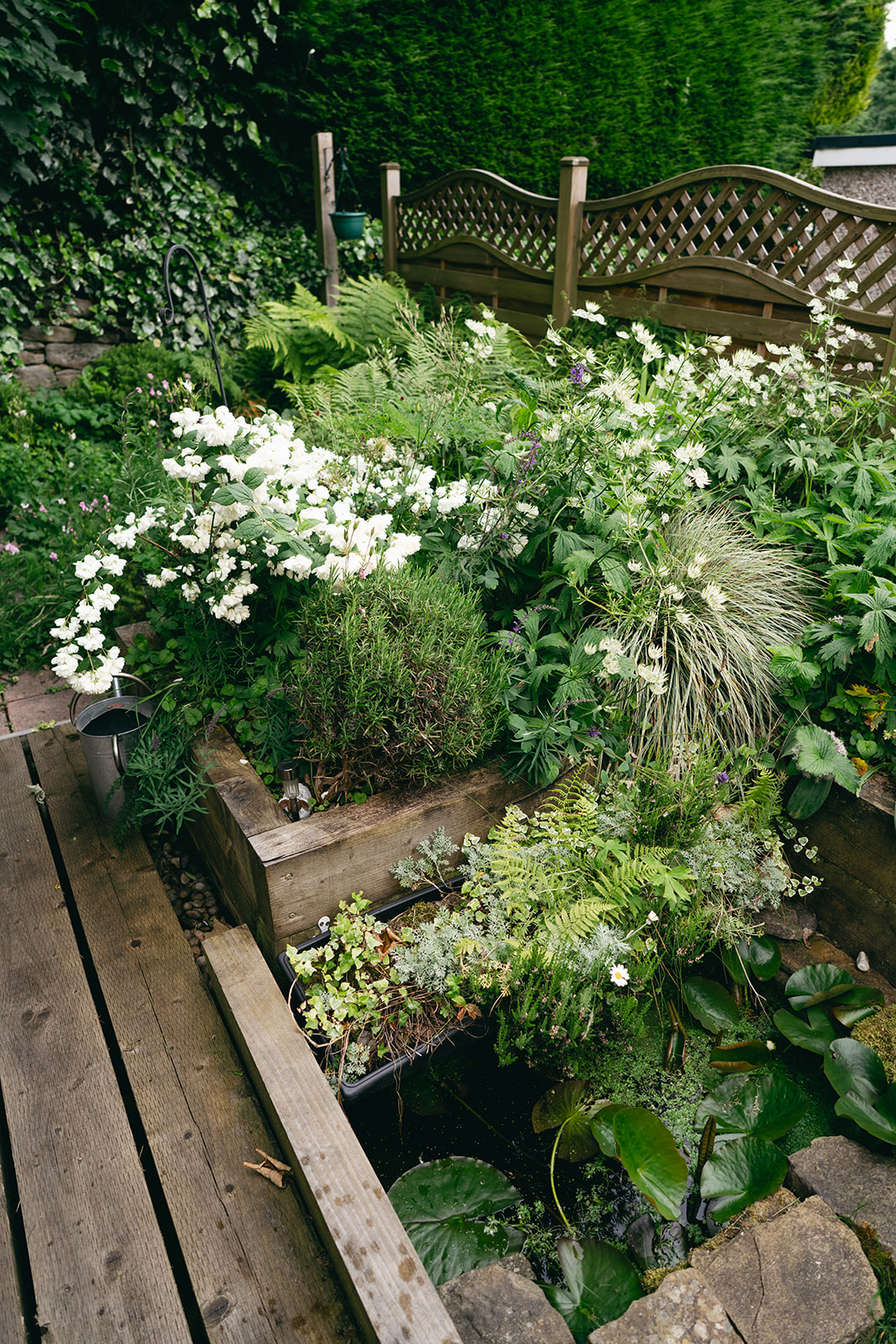 A residential rain garden designed for bioretention and infiltration. The planting area is positioned at a low point to collect and filter surface water runoff. A timber boardwalk provides pedestrian access over the SuDS feature without compacting the soil, preserving its permeability.
