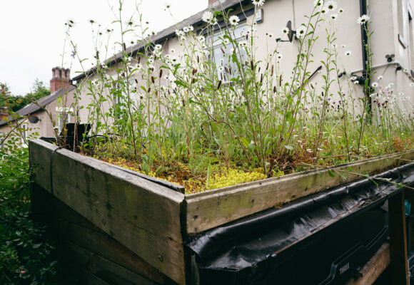 Free Webinar: Delivering Quality SuDS