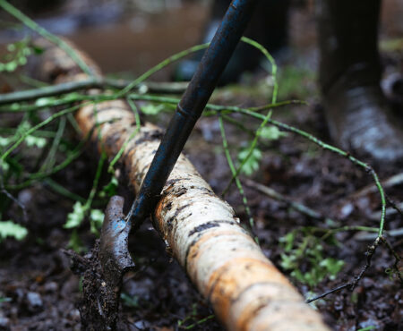 A close-up image showing a person in boots using a tool to cut into a birch log on the ground, surrounded by wet soil and greenery. The focus is on the action of cutting the wood, with details like the texture of the bark and moisture in the soil being prominent.
