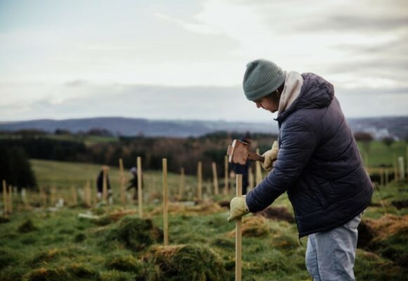 450,000 more trees for Yorkshire planted this year