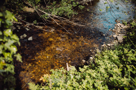 Close-up view of a shallow river with clear water revealing smooth stones on the riverbed.
