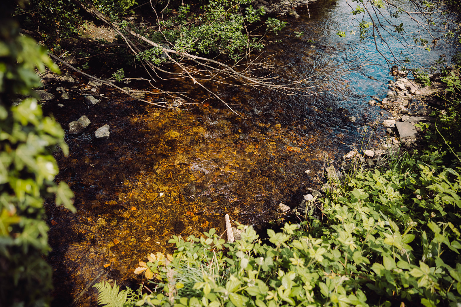 Close-up view of a shallow river with clear water revealing smooth stones on the riverbed.