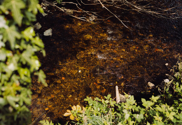 Landmark agreement to improve health of River Calder