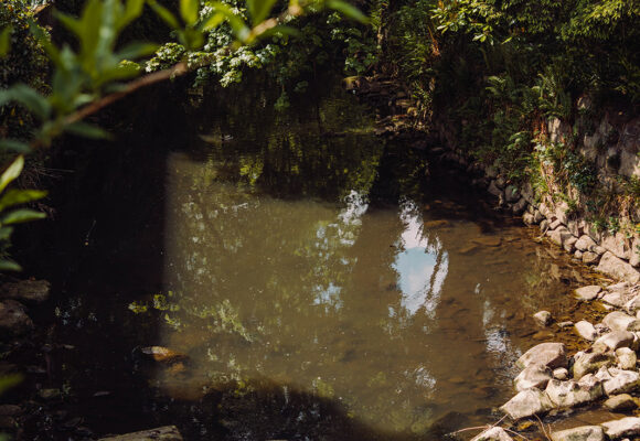 Help Shape the Future of Calder Rivers Trust
