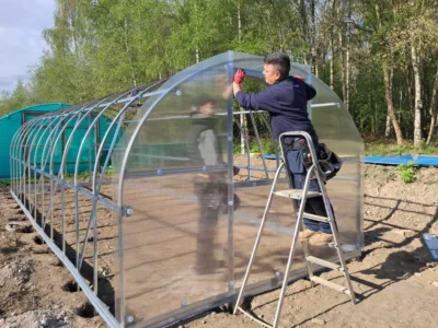 Poly tunnel being built in the sunshine. 