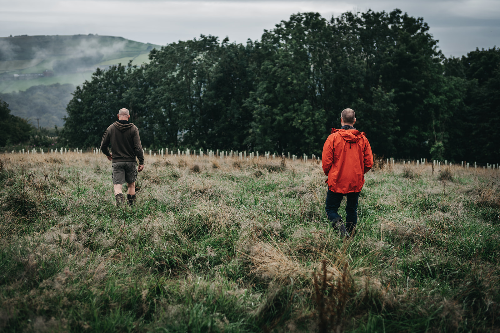 Two people walking through a grassy field with tall, wild grass. Dense trees and misty rolling hills appear in the background under an overcast sky.