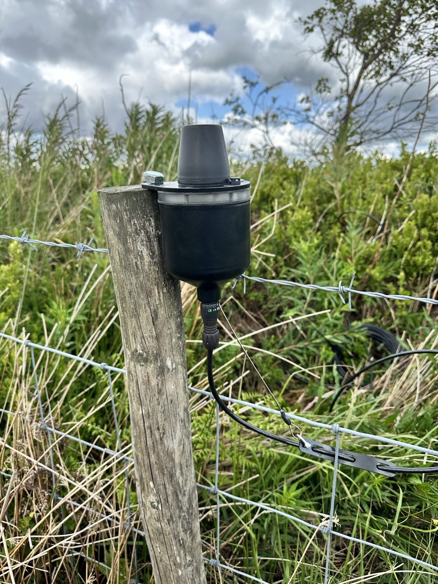 Rain monitor stick to a wooden fence pole.
