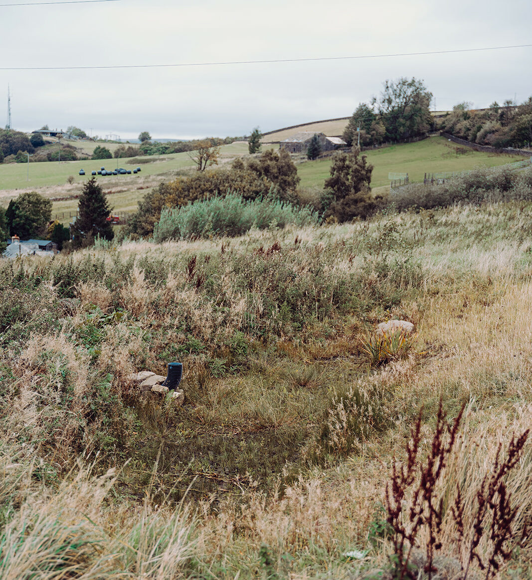 The attenuation basin at Annabut Lee Farm