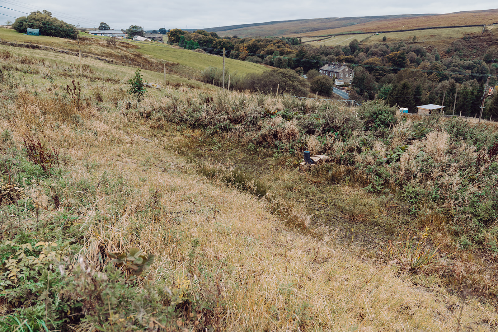 NFM landscape at Annabut Farm