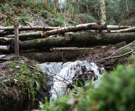 Broadhead Clough Leaky Dam