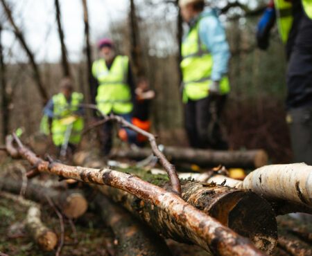 Fallen tree branches and logs in the foreground at Broadhead Clough, with several people in high‑visibility clothing standing and working among the woodland in the blurred background.
