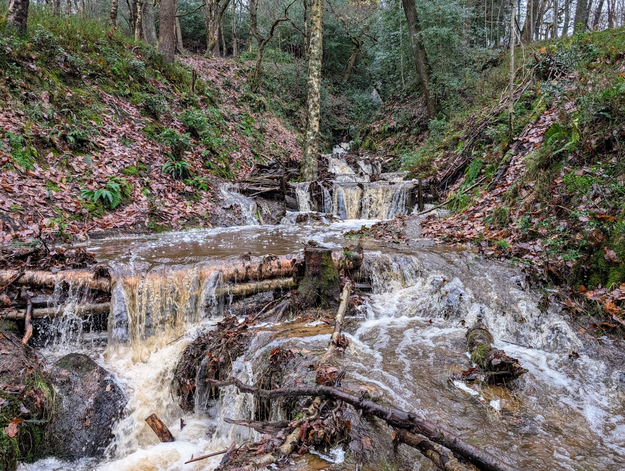 A river flowing shows how leaky dams slow the flow of water at various sections.
