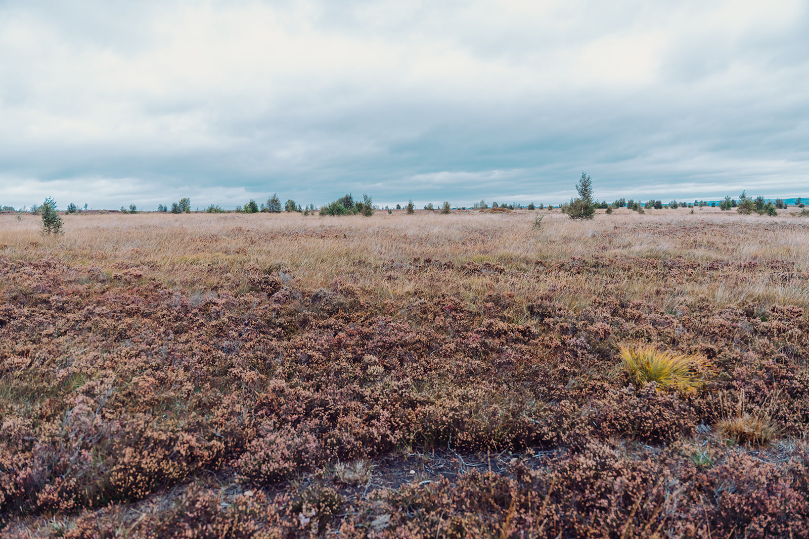 A landscape view of Norland Moor. The scene stretches toward a distant horizon of Pennine hills and wooded cloughs.