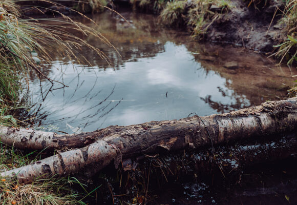 Newsletter: March flood update