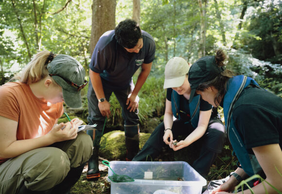 Surveying Calderdale's native, White-Clawed Crayfish