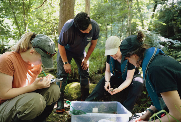 Volunteers carrying out crayfish surveying beside a woodland stream at Jerusalem Farm in Calderdale, recording findings and examining specimens collected from the water.