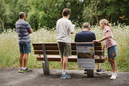 Visitors and children engaged in an activity during the Wellholme Park reopening community day
