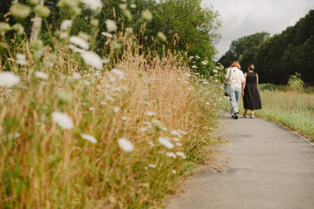 A photo from behind of two people walking along a paved park path, flanked by tall, brown and green wild grasses and wildflowers. One person wears a light green shirt and blue jeans, and the other wears a black dress. Trees are visible in the background.