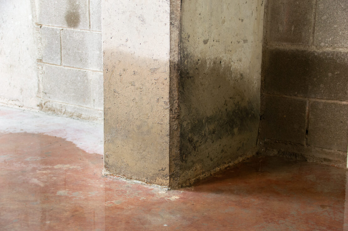 Water damage on a concrete basement pillar and cinderblock wall, showing a distinct tidemark and dark staining from absorbed moisture above a wet concrete floor.