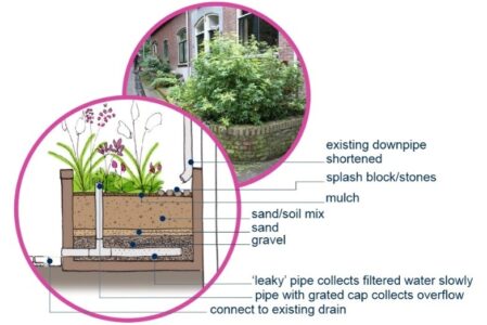 Photo of rain garden and diagram showing elements that makes up a good rain garden