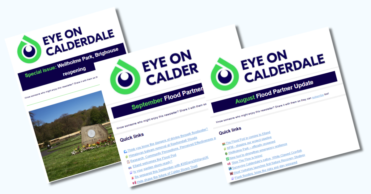 Snipped images of past Flood newsletters.