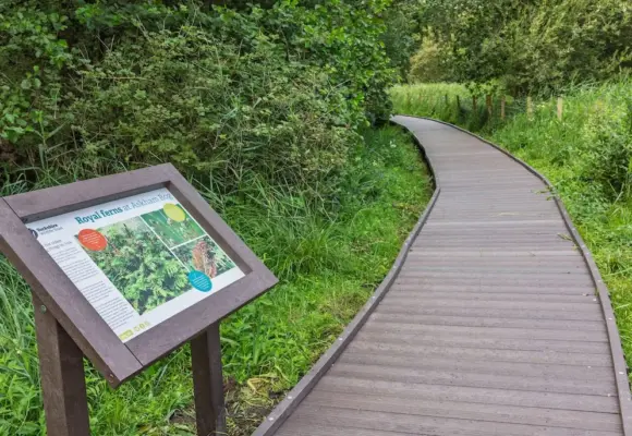 Restoring Wetlands for Wildlife