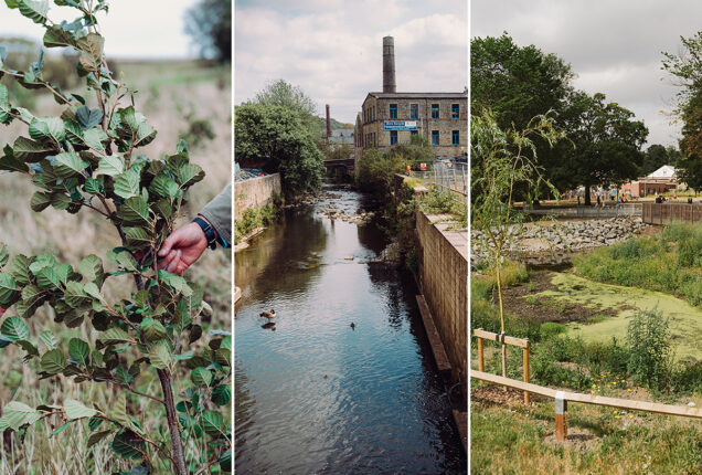 Banner promoting the Calderdale Flood Action Plan. Three images show a young tree being planted, a watercourse running past a historic mill building, and a natural flood management wetland area.