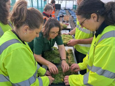 Volunteers at the sphagnum moss project