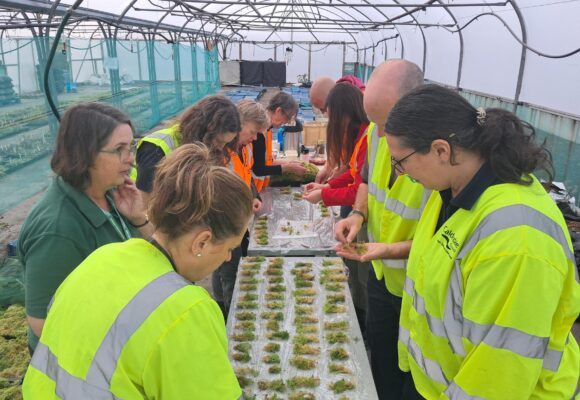 Sphagnum Moss: From partnership to practical action